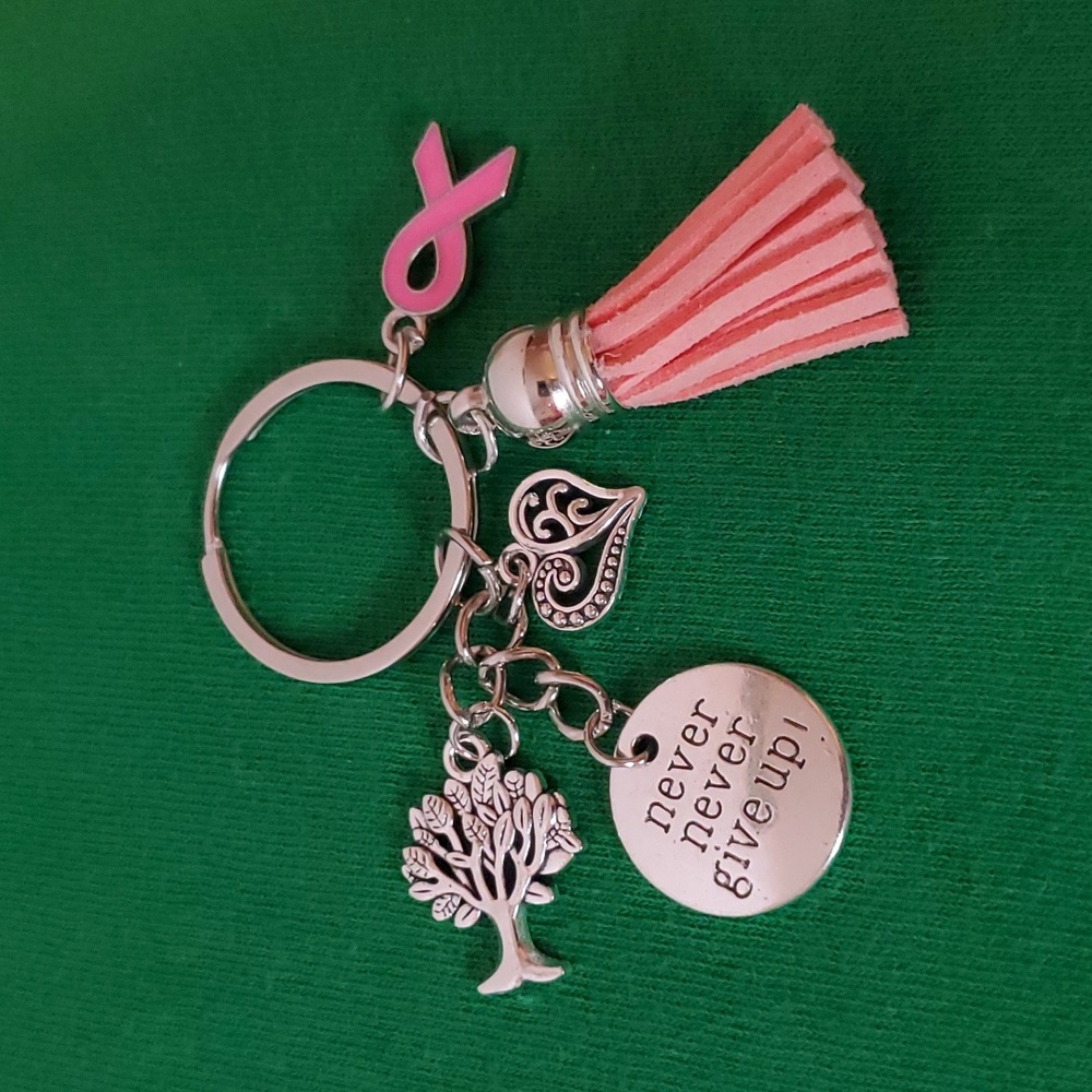 Silver / Pink "Never Give Up" (Breast Cancer Awareness) Keychain